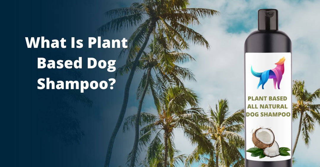 natural dog shampoo | plant based dog shampoo