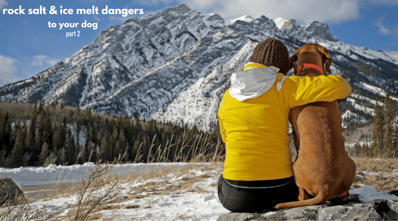 Rock Salt and Ice Melt Dangers To Your Dog