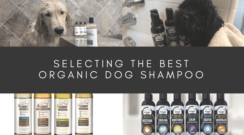 How can you select the best organic dog shampoo