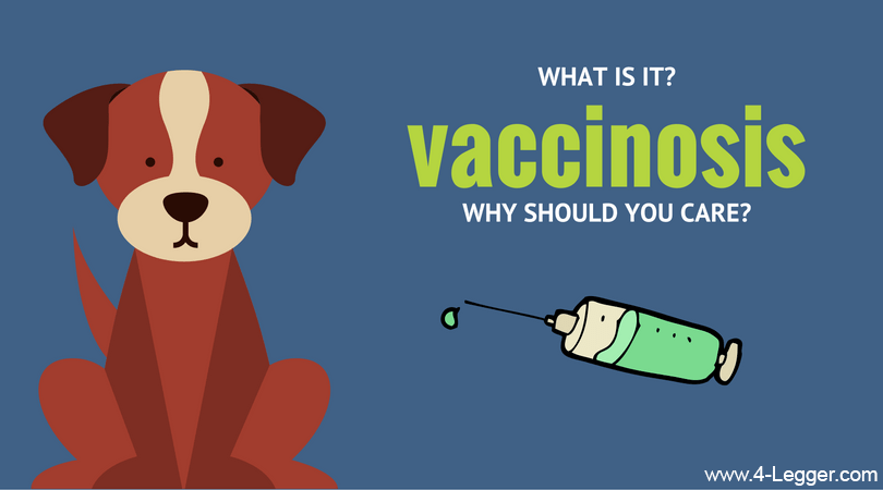 What is Vaccinosis and Why Should You Care?