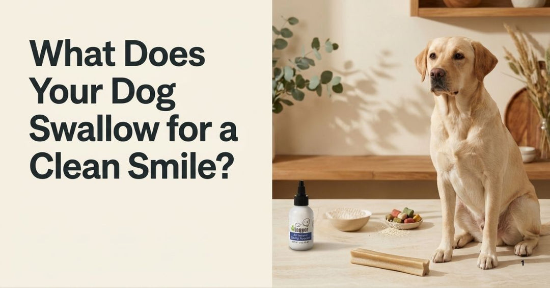 Dog Dental Chews: Cleaner Teeth, But What About Long-Term Health?