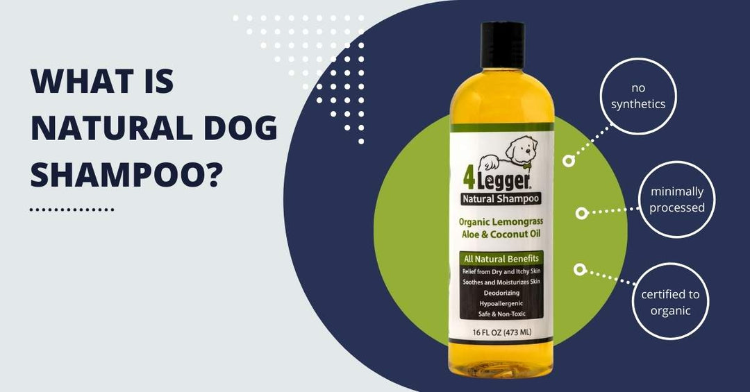 What is Natural Dog Shampoo?