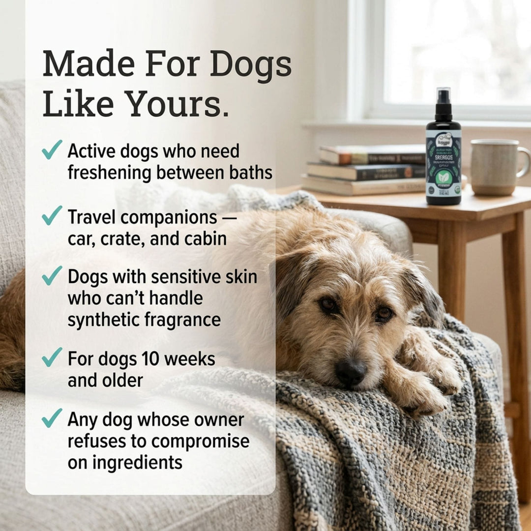 Dog portrait illustrating who 4-Legger ENERGIZE peppermint spray is for including dogs 10 weeks and older