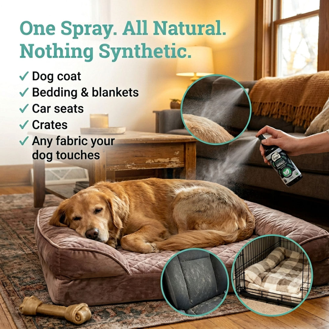 4-Legger ENERGIZE peppermint spray shown on dog coat bedding blanket car seat and crate