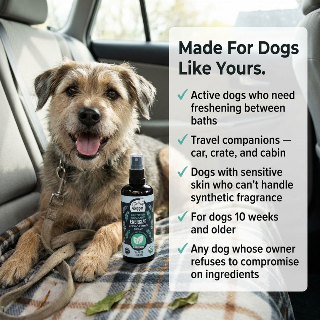 Happy clean dog after using 4-Legger ENERGIZE organic peppermint deodorizing spray