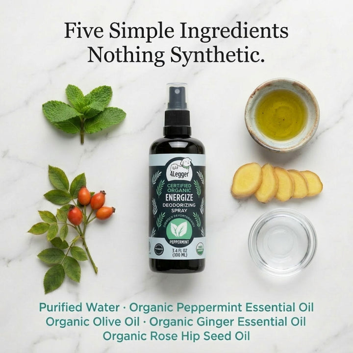 4-Legger ENERGIZE spray flat lay with five organic ingredients including peppermint and ginger