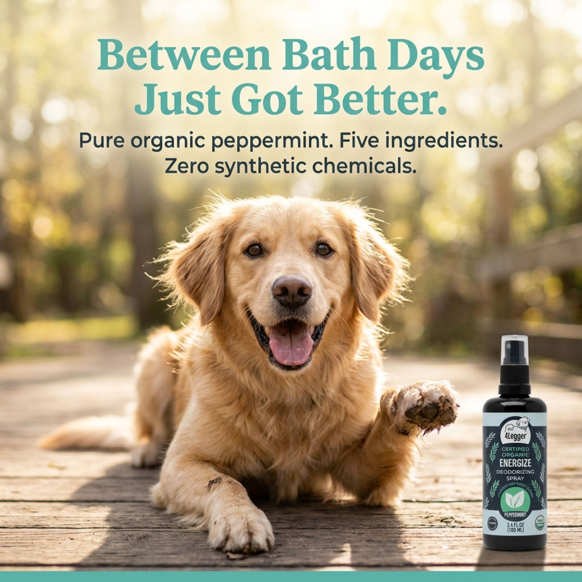 4-Legger USDA Organic Peppermint Dog Spray | Invigorating Coat