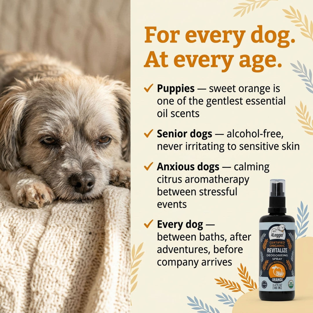 4-Legger organic sweet orange dog spray safe for puppies, seniors, and all breeds