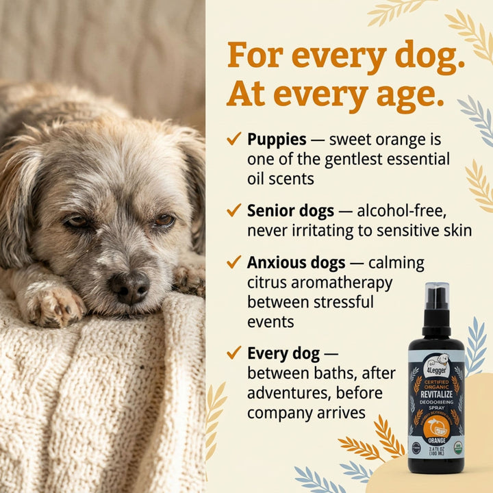 4-Legger organic sweet orange dog spray safe for puppies, seniors, and all breeds
