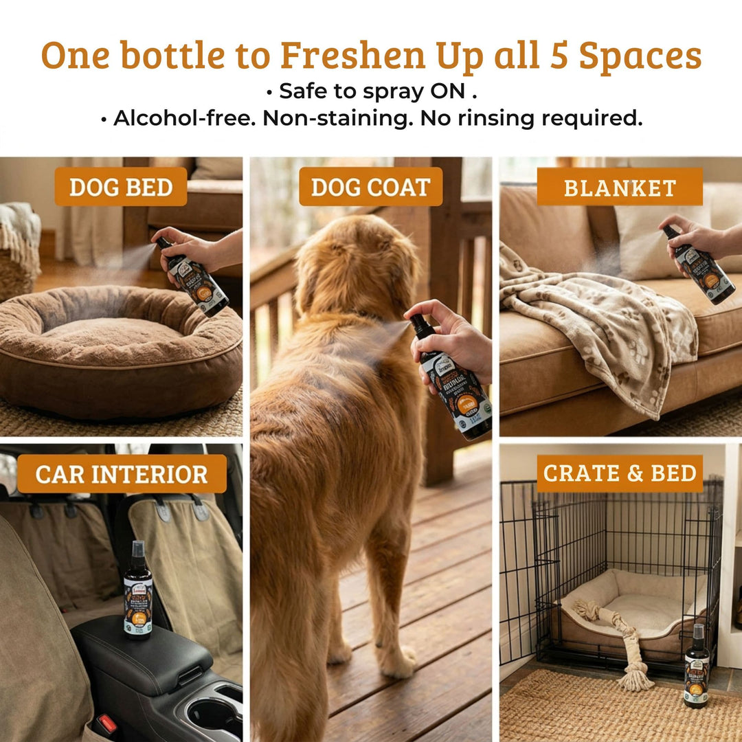 4-Legger sweet orange dog spray used on coat, bedding, blankets, car seats, and crates