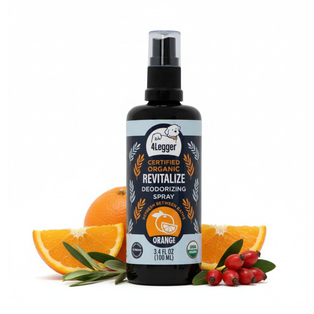 4-Legger Organic Sweet Orange Dog Deodorizing Spray in Miron glass bottle with fresh orange slices