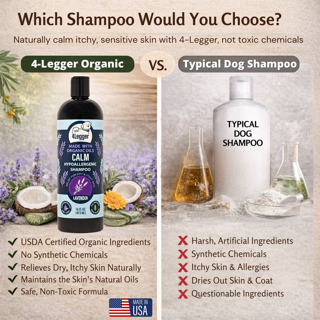 are dogs allergic to lavender plants CALM Organic Lavender Dog Shampoo with Calendula & St. John's Wort