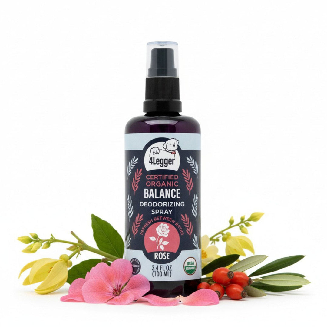 4-Legger organic rose dog deodorizing spray Miron glass bottle with rose geranium and rosehip props