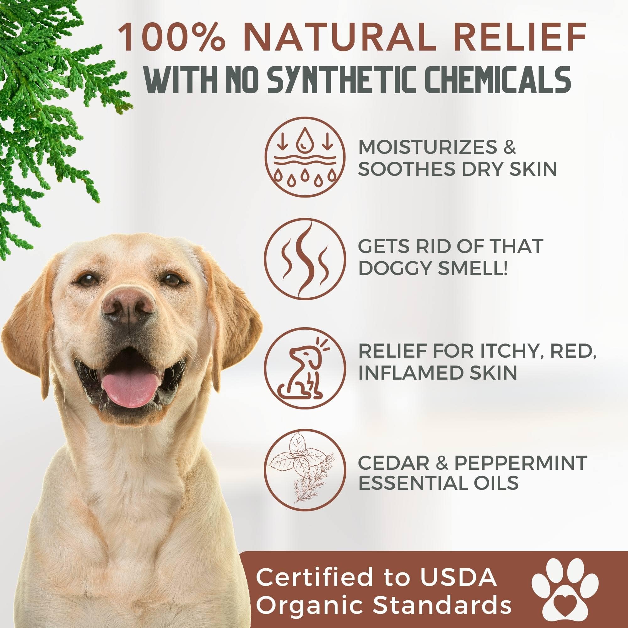 Doterra dog itchy skin shop