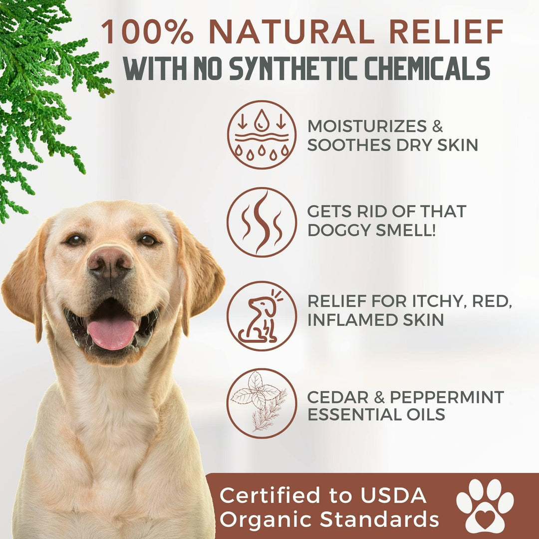 best flea dog shampoo