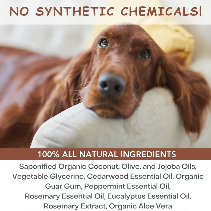 chemical free flea dog shampoo