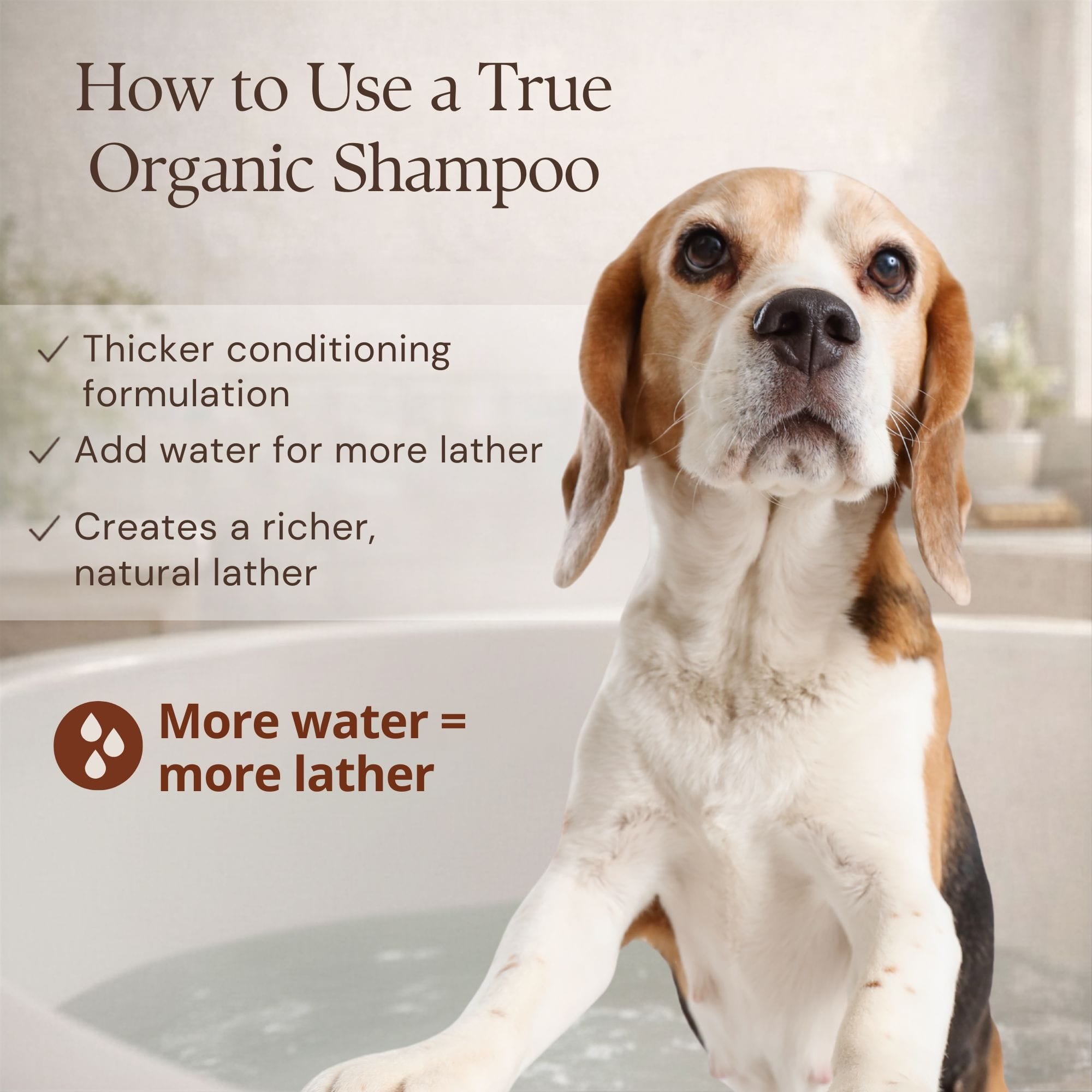 4-Legger Organic Cedar Flea Shampoo | Natural Pest Protection