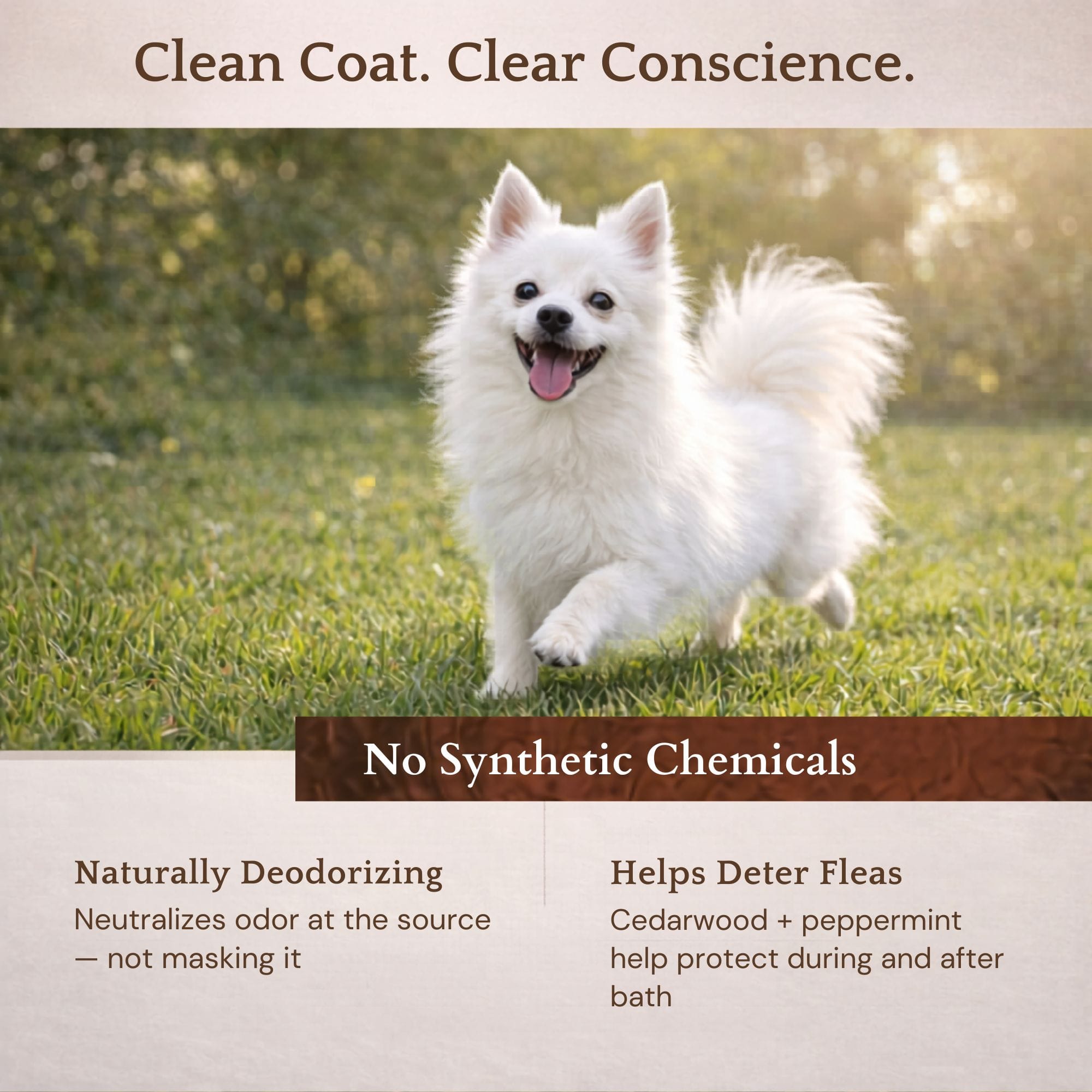 4-Legger Organic Cedar Flea Shampoo | Natural Pest Protection