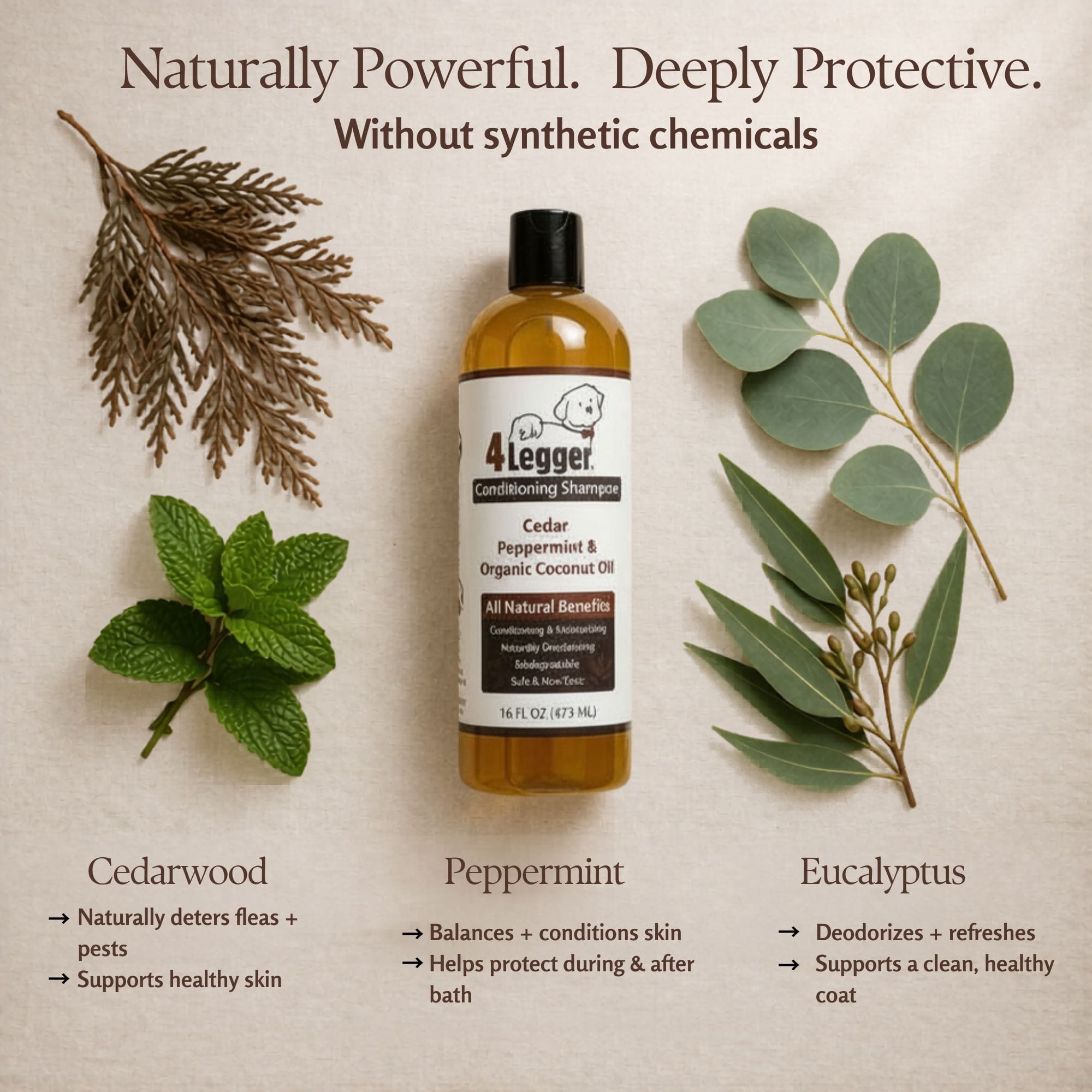 4-Legger Organic Cedar Flea Shampoo | Natural Pest Protection