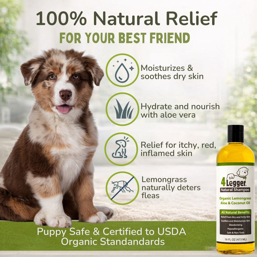 Natural relief for dry itchy skin — 4-Legger lemongrass dog shampoo certified to USDA organic human food standards