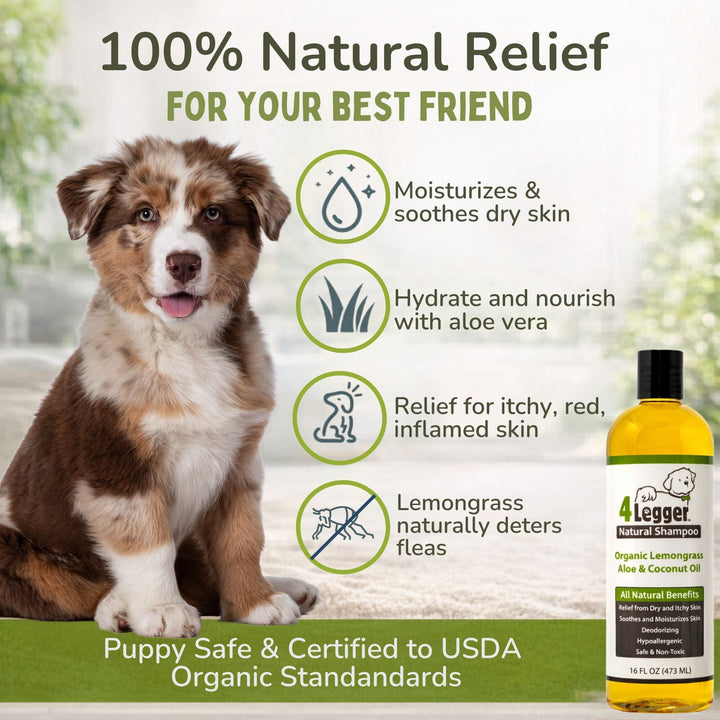 Natural relief for dry itchy skin — 4-Legger lemongrass dog shampoo certified to USDA organic human food standards