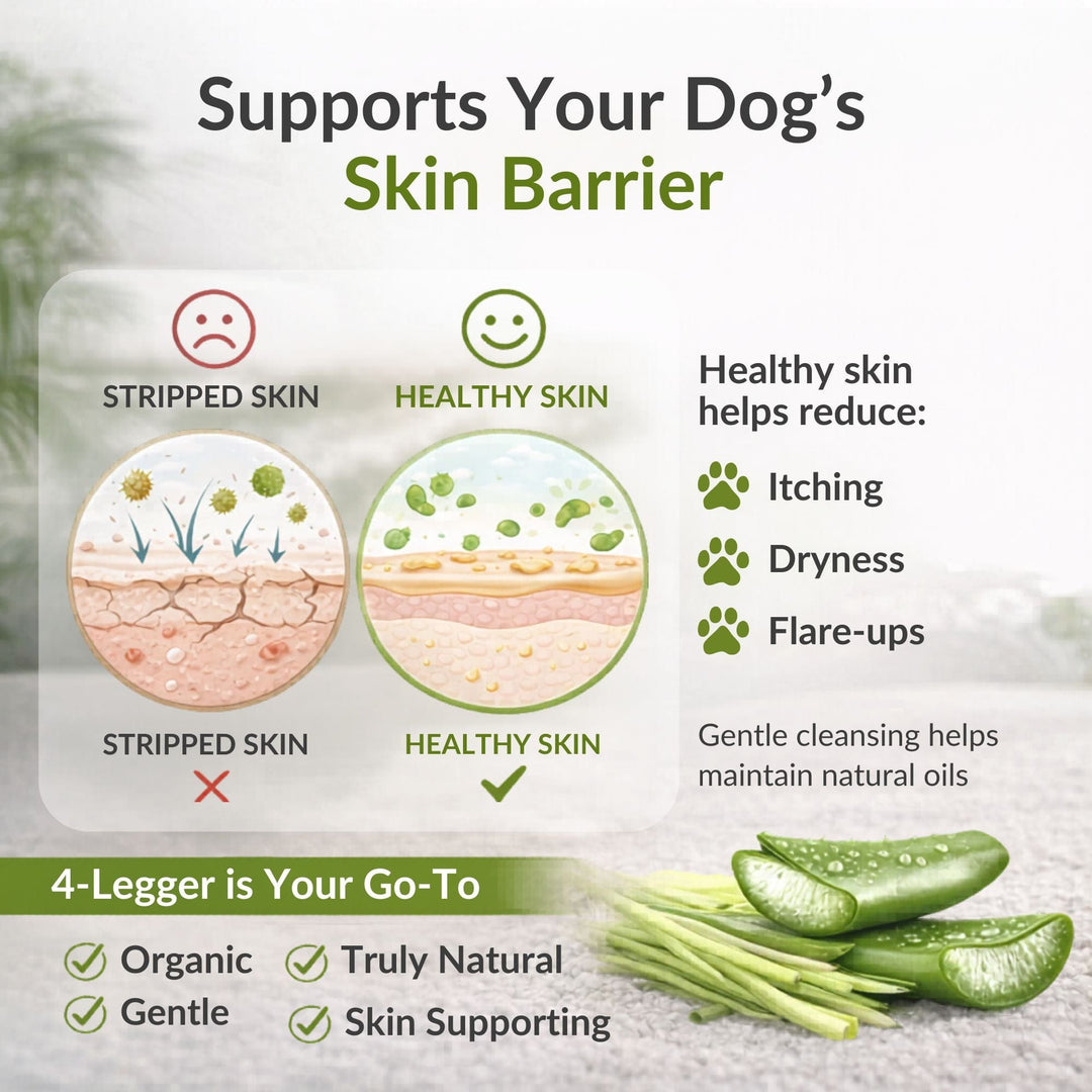 4-Legger organic dog shampoo supports skin barrier — helps reduce itching, dryness and flare-ups naturally