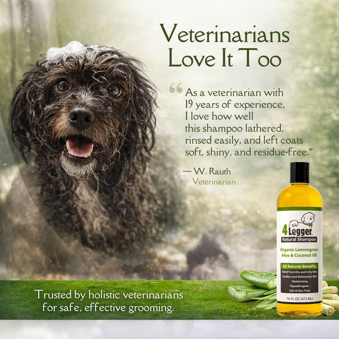 Veterinarian-trusted organic dog shampoo — 4-Legger lemongrass aloe recommended by holistic vets for safe grooming