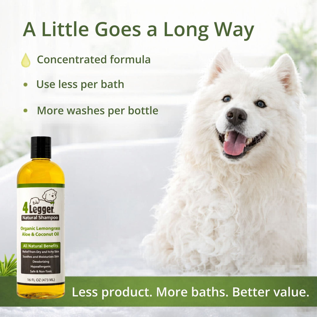 Concentrated organic dog shampoo — 4-Legger lemongrass aloe formula, use less per bath, more washes per bottle