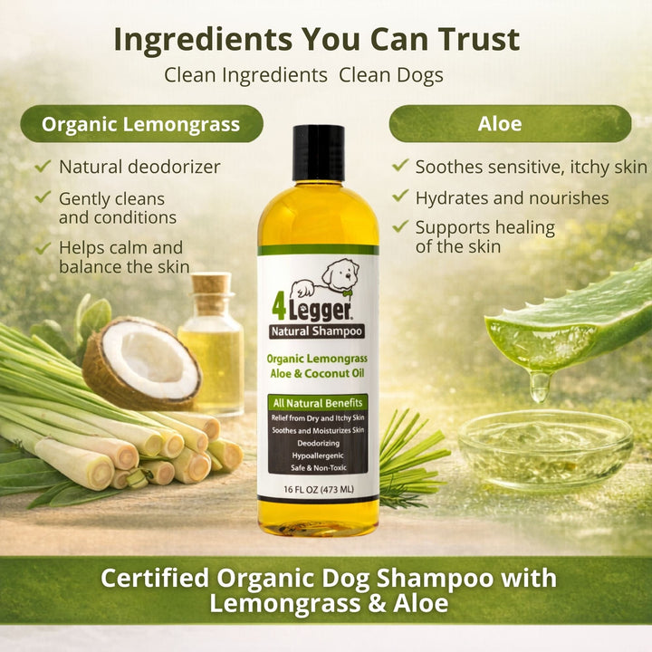 Organic lemongrass and aloe vera ingredients in 4-Legger certified organic dog shampoo — natural deodorizer and skin soother