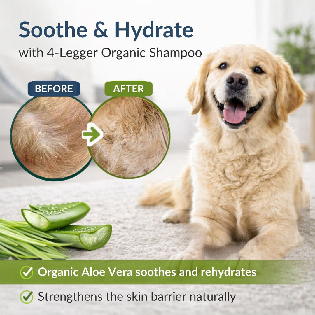 Before and after organic dog shampoo for dry itchy skin — 4-Legger lemongrass aloe soothes and hydrates