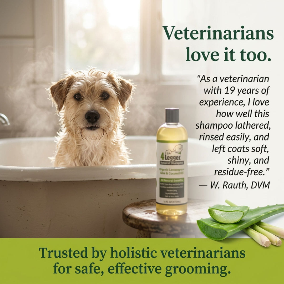 Wet terrier mix bathed with veterinarian recommended organic lemongrass and aloe dog shampoo for sensitive skin