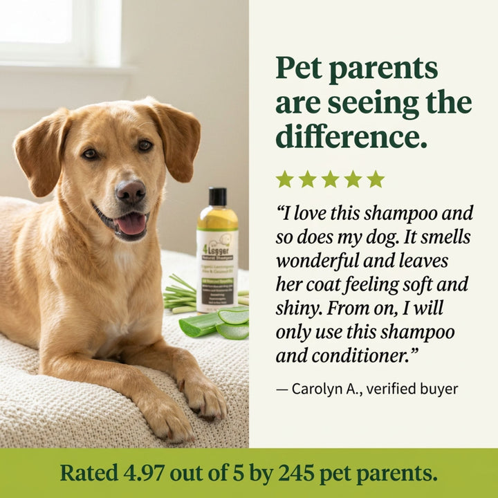 Happy dog with shiny coat and five star customer review for organic lemongrass aloe dog shampoo from verified buyer