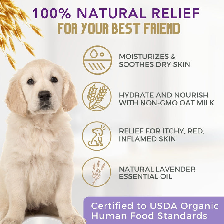 best oatmeal dog shampoo itchy skin