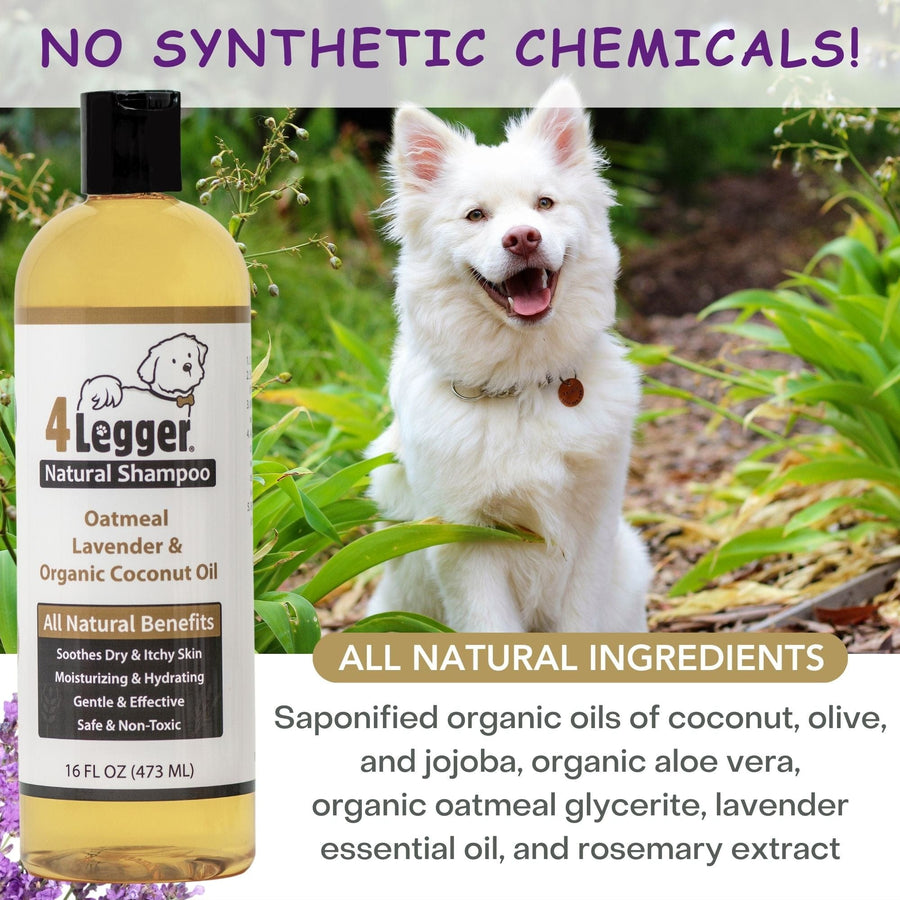 4Legger Organic Oatmeal Dog Shampoo with Lavender for Itchy Skin