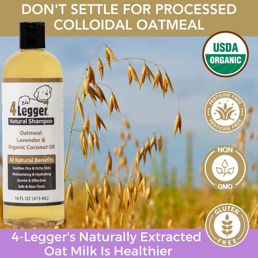 4Legger Organic Oatmeal Dog Shampoo with Lavender for Itchy Skin