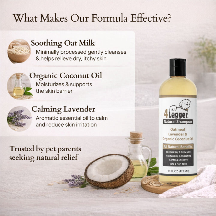 4-Legger organic oatmeal dog shampoo soothes dry itchy skin with oat milk, lavender, and aloe vera