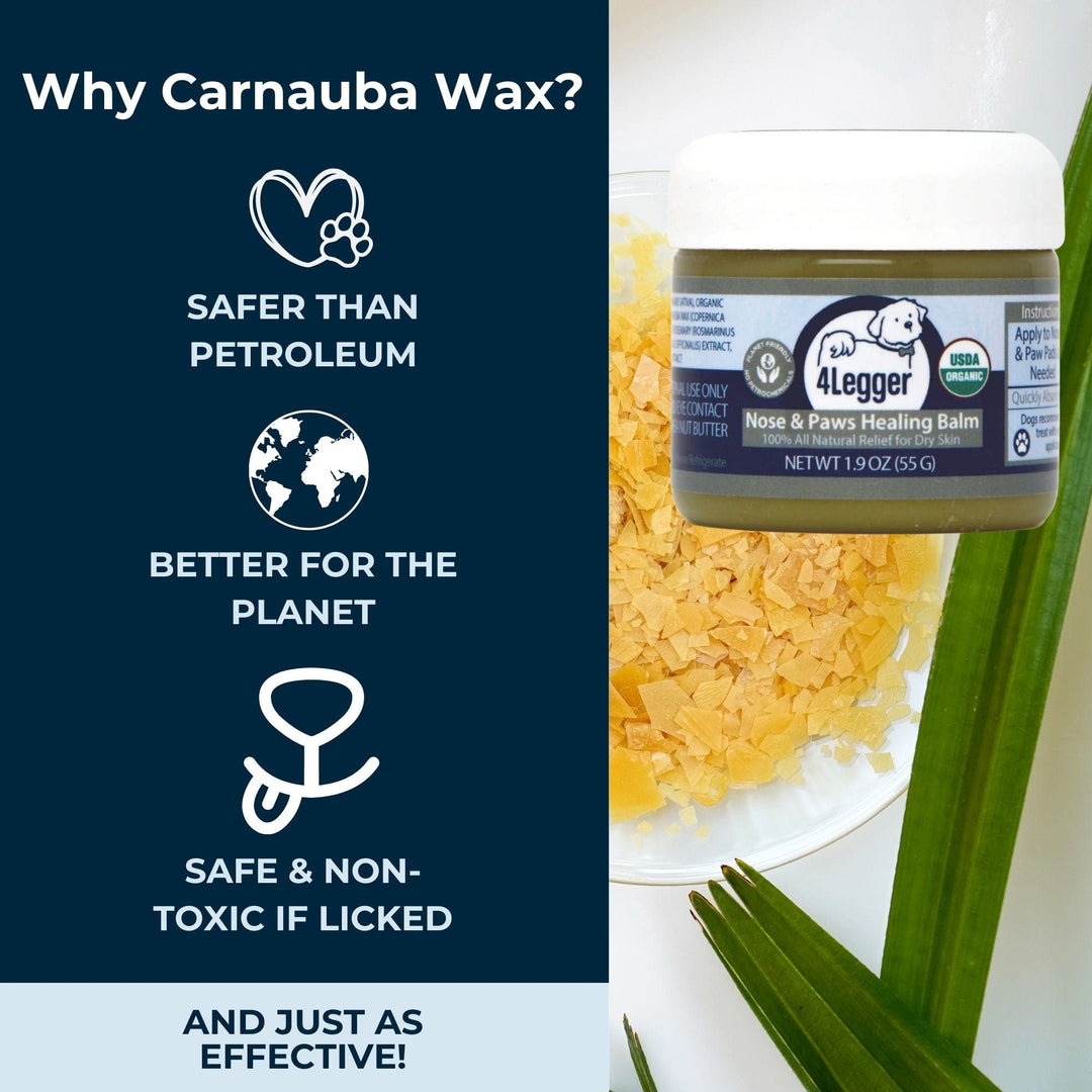 USDA Certified Organic Healing Balm for Dog Nose and Paw Pads