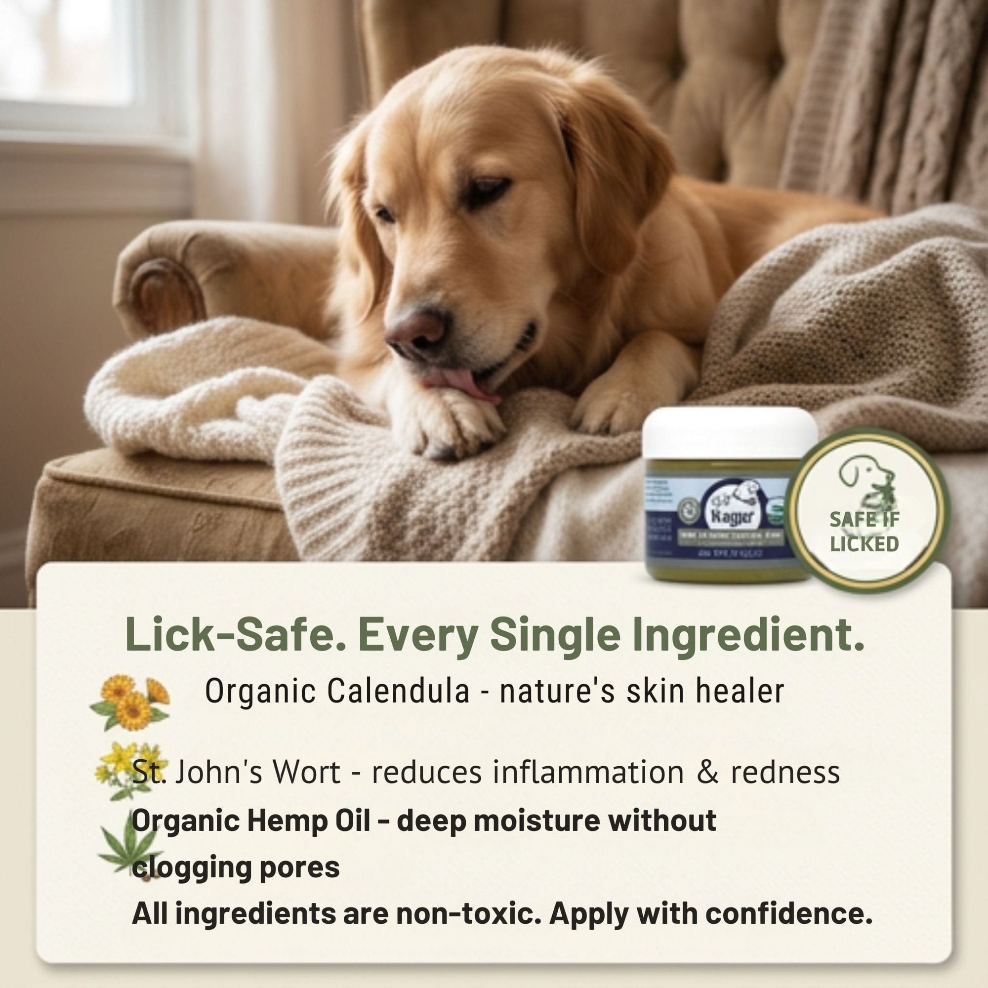 4-Legger Organic Dog Paw Balm | USDA Certified for Cracked, Dry Paws