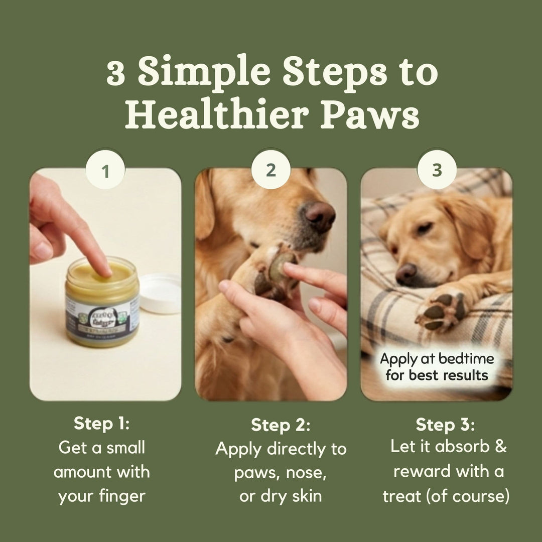 4-Legger organic paw balm 3 simple steps to healthier dog paws and nose