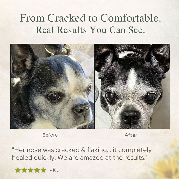 4-Legger organic paw balm before and after — from cracked to comfortable real results