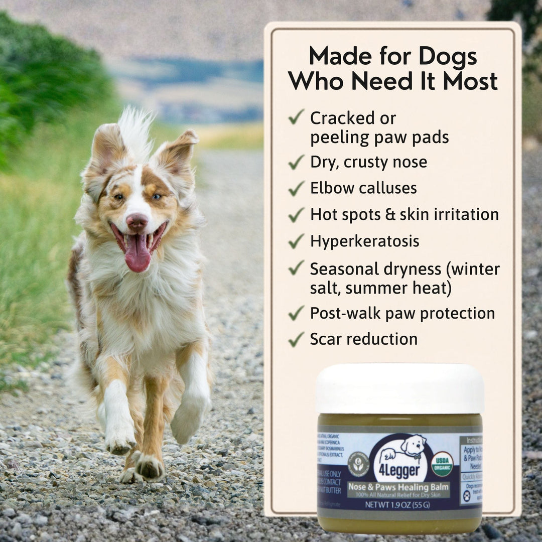 4-Legger organic healing balm made for dogs with cracked paws dry nose hyperkeratosis and hot spots