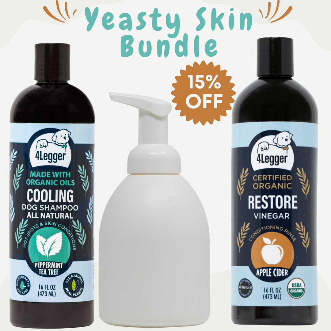 best holistic alternative to medicated dog shampoo sale bundle