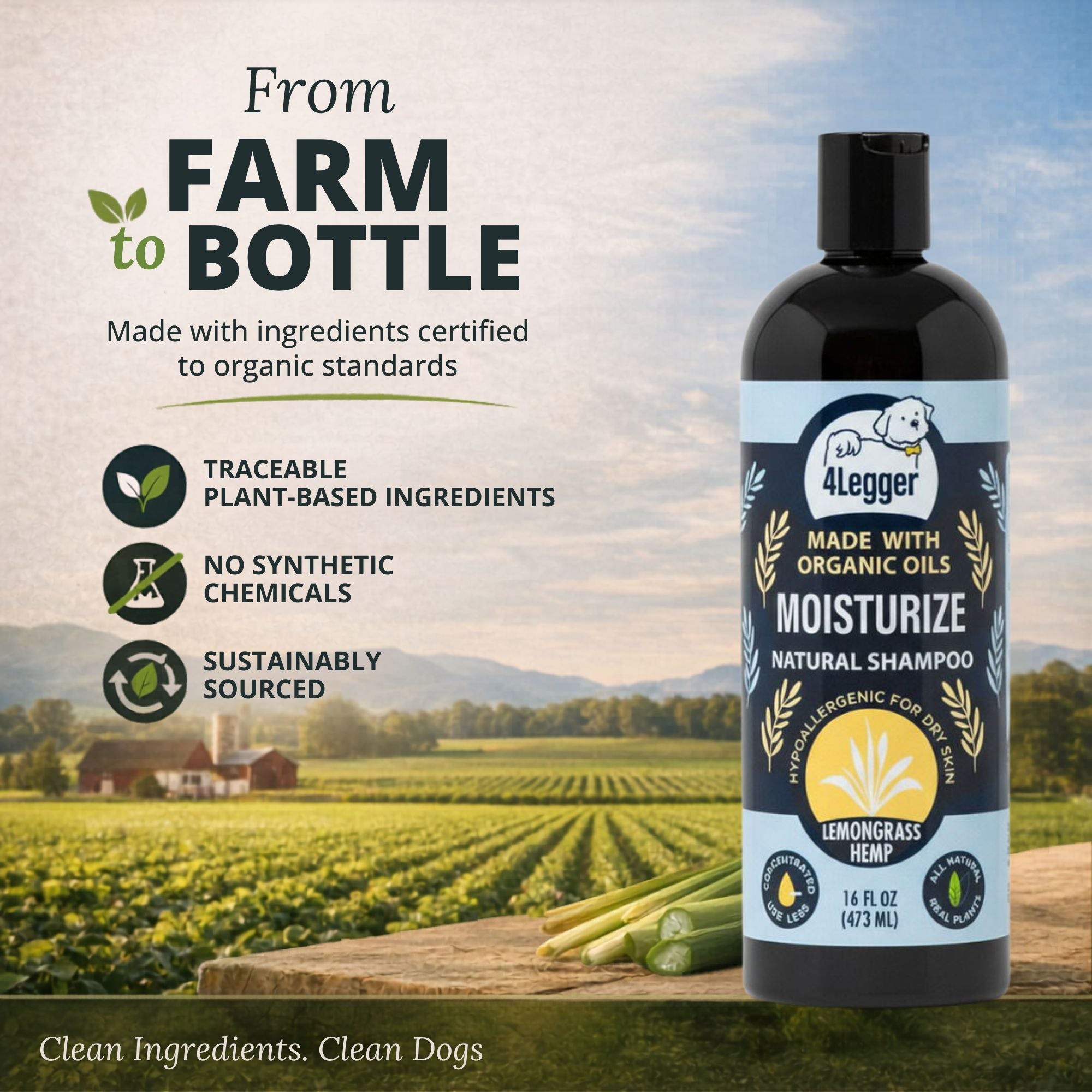 4-Legger Organic Hemp Dog Shampoo with Lemongrass | Dry Itchy Skin
