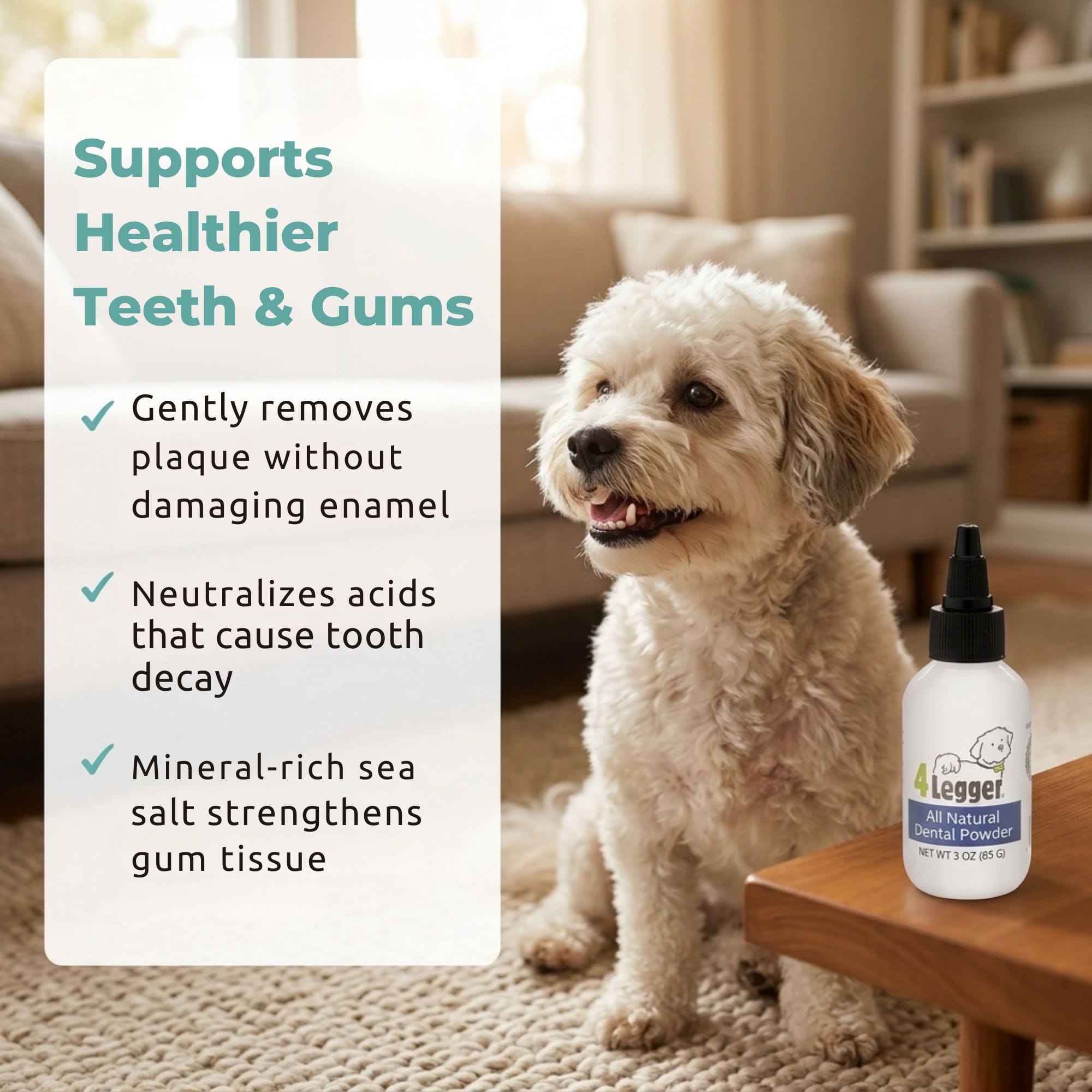 DENTAL POWDER 30包入り×4 4-Legger Natural Dog Dental Powder | Safe Toothpaste Alternative