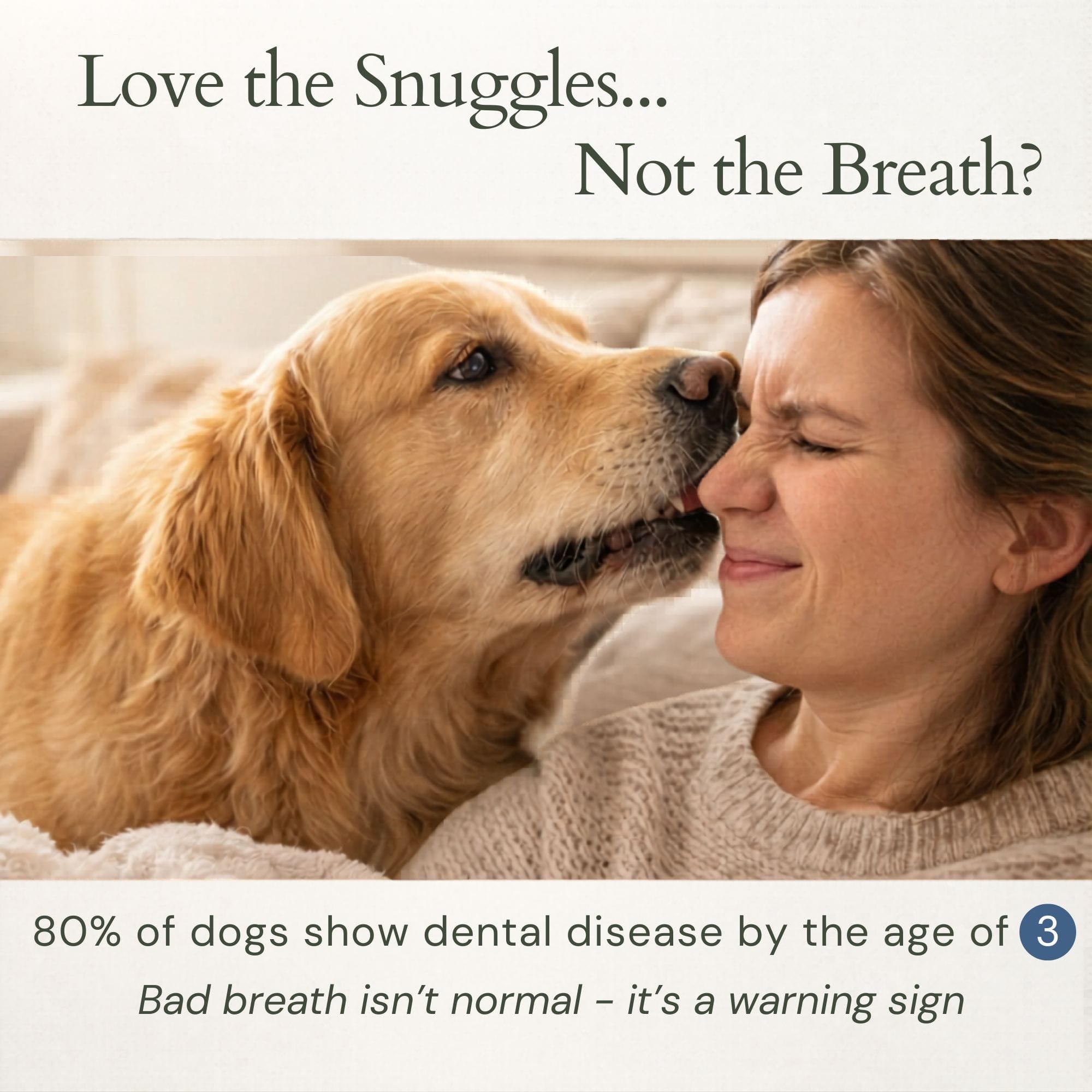 4-Legger Natural Dog Dental Powder | Safe Toothpaste Alternative
