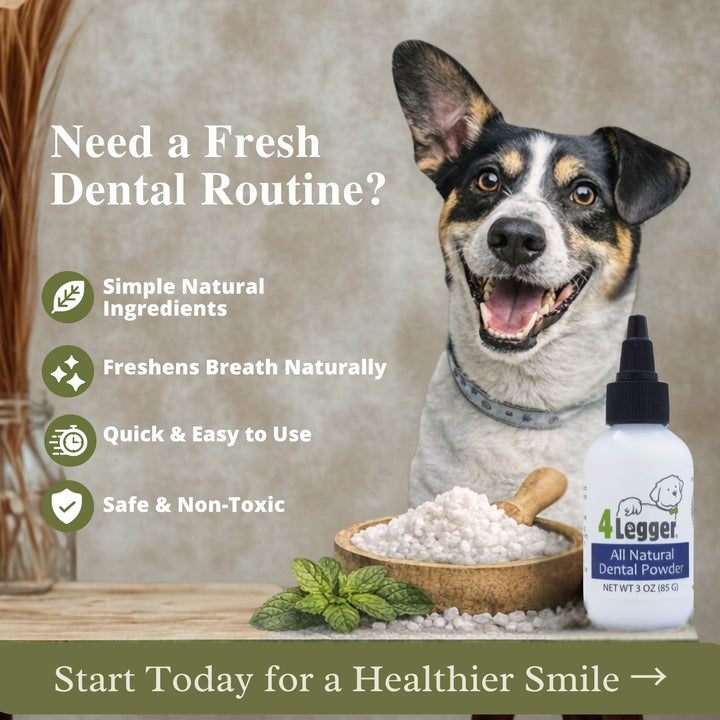 natural dog toothpaste