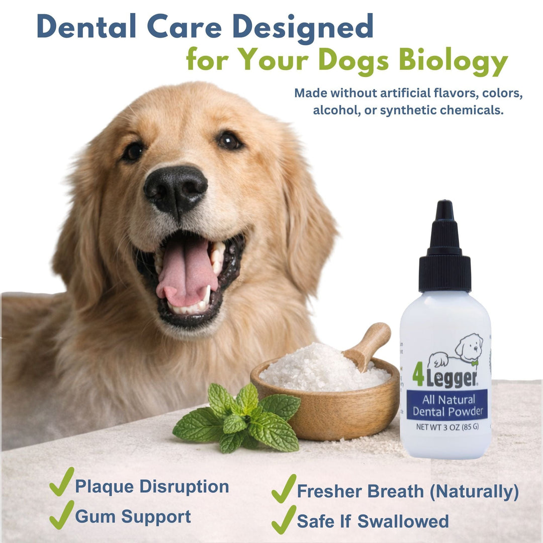 dog toothpaste without synthetic chemicals