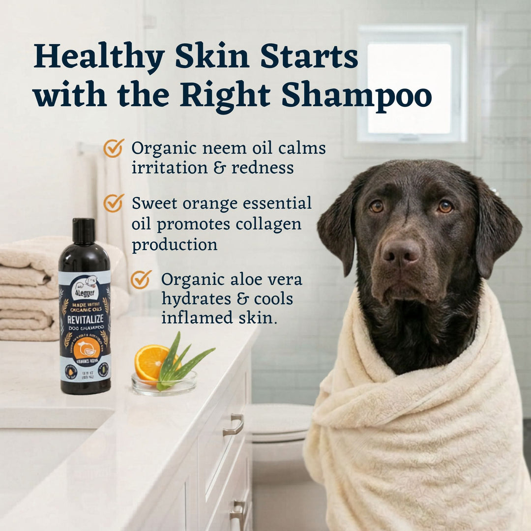 4-Legger REVITALIZE neem and sweet orange dog shampoo supports healthy skin and coat repair