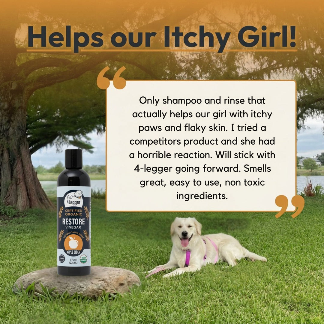 Happy dog with soft shiny coat after using 4-Legger RESTORE organic apple cider vinegar conditioning rinse