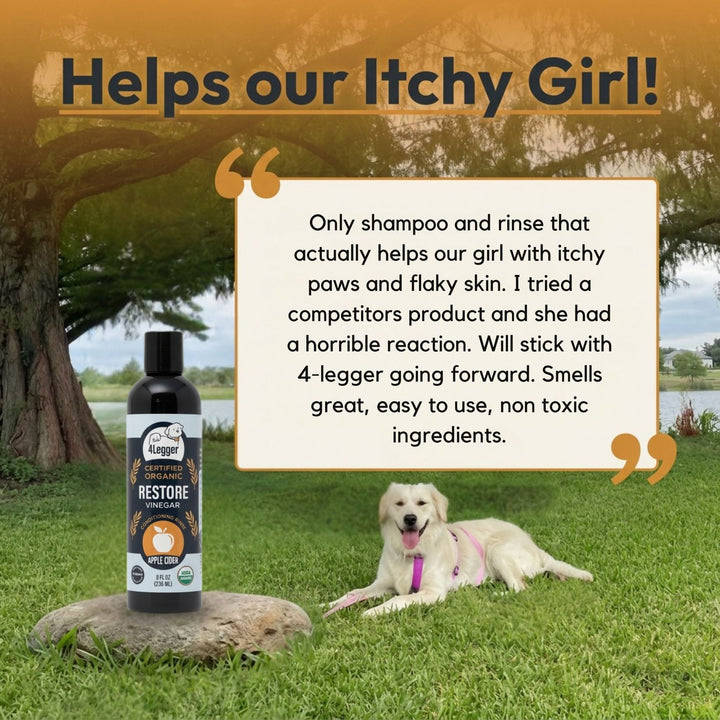 Happy dog with soft shiny coat after using 4-Legger RESTORE organic apple cider vinegar conditioning rinse